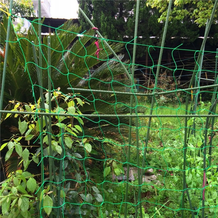 Podpora z siatką do ogórków i pomidorów 180 cm - Stelaż do roślin pnących