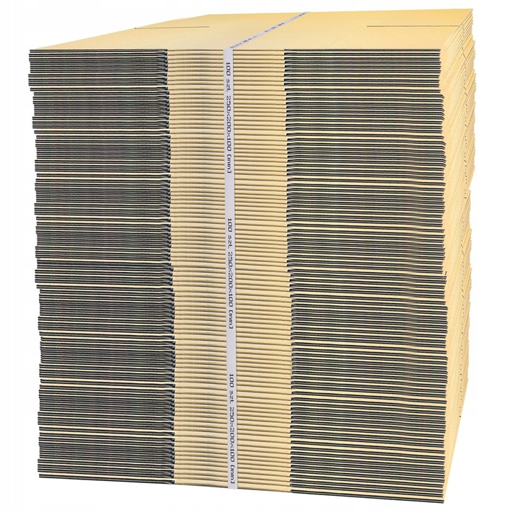 KARTON PUDEŁKO PACZKOMAT B 250x200x100 100 SZT.