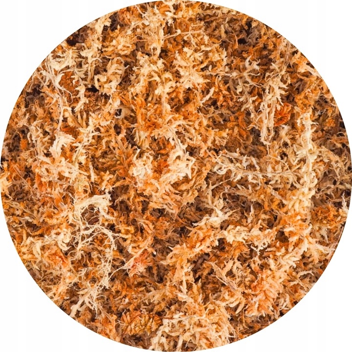 Mech Torfowiec SPHAGNUM 5L Podłoże do Storczyka Ukorzeniania Naturalny