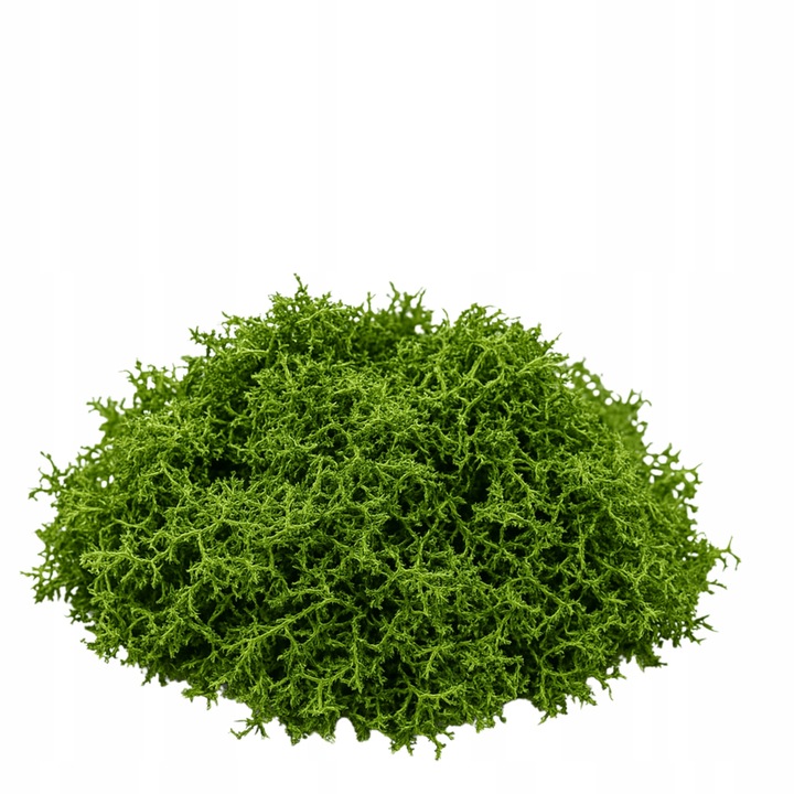 LAS W SŁOIKU SZKLE KOMPLETNY 10 elementów Z ROŚLINKĄ I KULA SŁÓJ ZESTAW