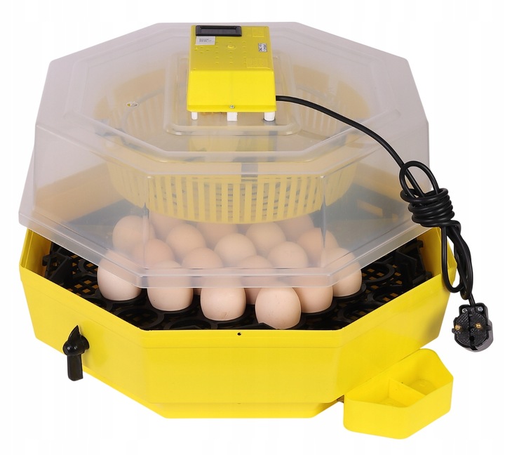 INKUBATOR CLEO 5DTHE 60/41 JAJ WYLĘGARKA KLUJNIK LCD TERMOMETR TACA