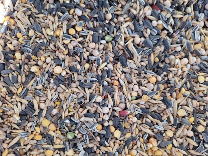Karma ziarno pokarm dla ptaków zimujących ze słonecznikiem 20kg