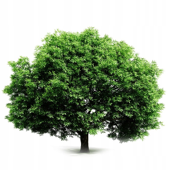 DMSO Dimetylosulfotlenek 99,99% Bardzo Wysoka Czytość CZDA 1000ml