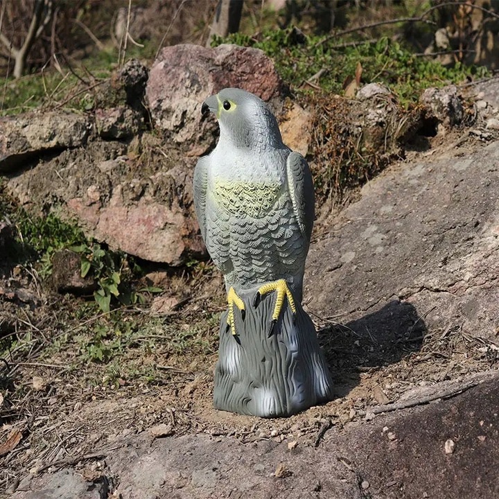 Jastrząb odstraszacz ptaków gołębi szpaków sokół