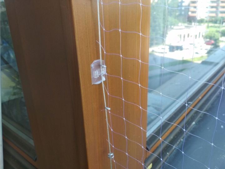 Siatka 6x3 bezbarwna - dla kota, na balkon