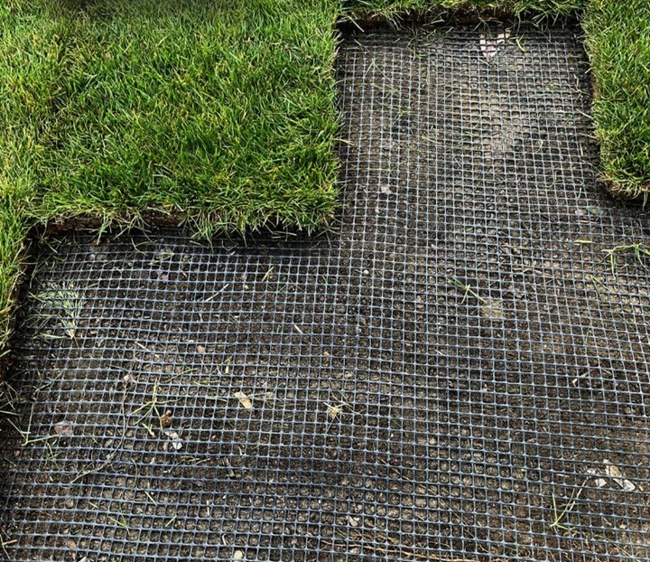 SIATKA NA KRETY 1x50m UV+ POLSKA MOCNA GĘSTA WYTRZYMAŁA PRZECIW KRETOM