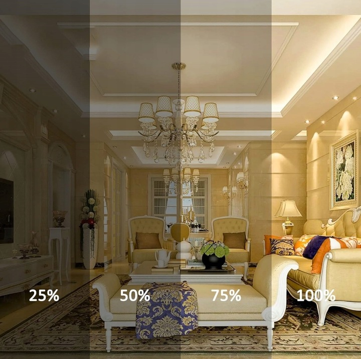 ŻARÓWKA HALOGENOWA HALOGEN JC G4 10W 12V ŻARNIK 12 sztuk