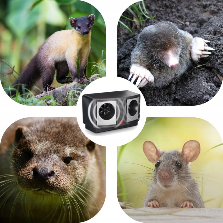 SKUTECZNY ODSTRASZACZ ULTRADŹWIĘKOWY GRYZONI MYSZY SZCZURÓW KUN