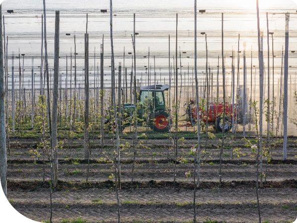 ŚRODEK CHWASTOBÓJCZY 1L NA WSZYSTKIE CHWASTY SINGLIF 360 SL GLIFOSAT
