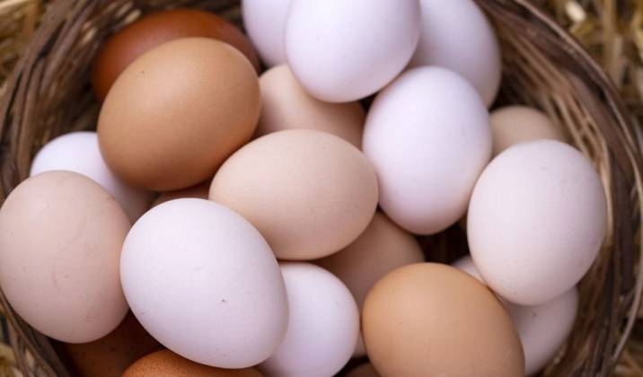 Karma dla kur Provimi Kokoszka Smakoszka, pasza kruszonka dużo jajek