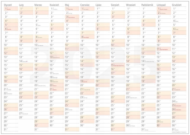 Planer A1 Kalendarz 2025 84x59 zmazywalny z mocowaniem samoprzylepnym