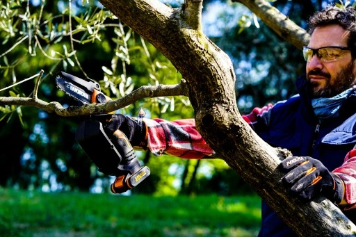 Pilarka do gałęzi akumulatorowa Worx WG324E.9 12cm