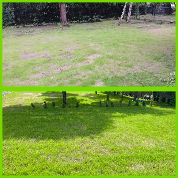 Trawa UNIWERSALNA nasiona trawy SAMOZAGĘSZCZAJĄCA odporna na DEPTANIE 25kg