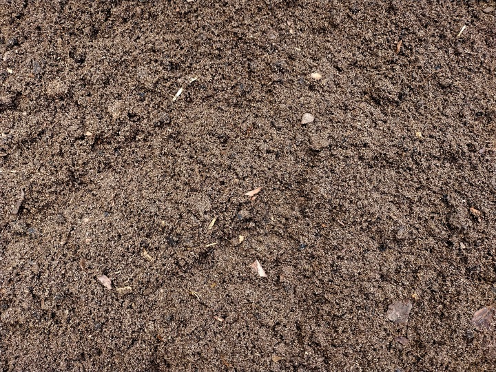 Podłoże dla żółwia greckiego stepowego lądowego Testudo Soil Baby 10 L