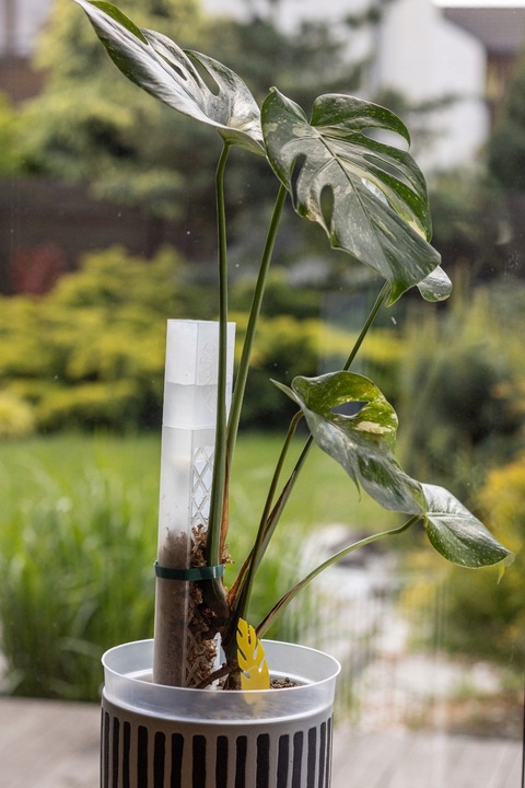 SPHAGROW AQUADRIP Nawadniacz kropelkowy do palika SPHAGROW D-6-25