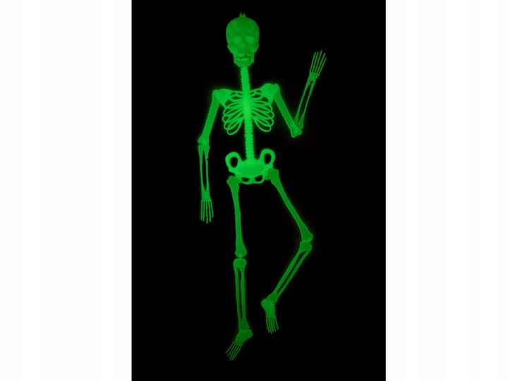 Fluorescencyjny szkielet Halloween 150 cm