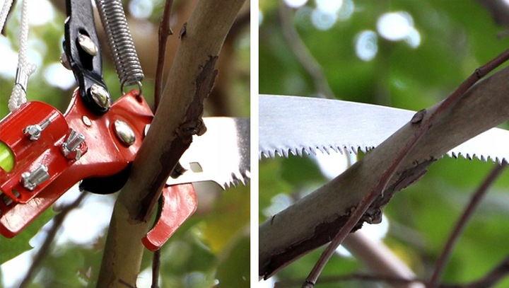 SEKATOR GĄSIENICOWY DO GAŁĘZI TELESKOPOWY ŻYRAFA NA TELESKOP WYSIĘGNIK