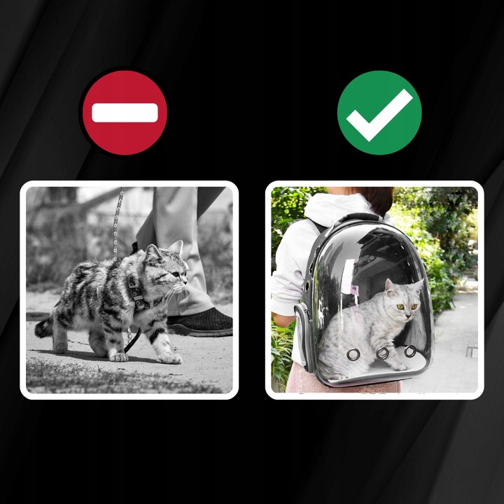 PLECAK DLA KOTA PSA TRANSPORTER PRZEZROCZYSTY WENTYLOWANY NA PSA NA KOTA