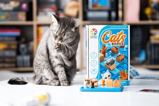 Cats & Boxes Smart Games (ENG) IUVI Games