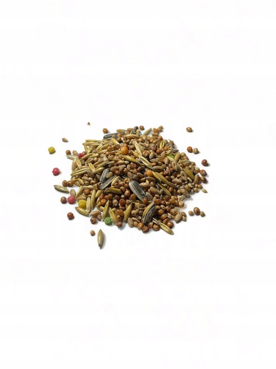 Karma Ziarno Dla Dzikich Zimujących Ptaków Słonecznik Do Karmnika 20 KG