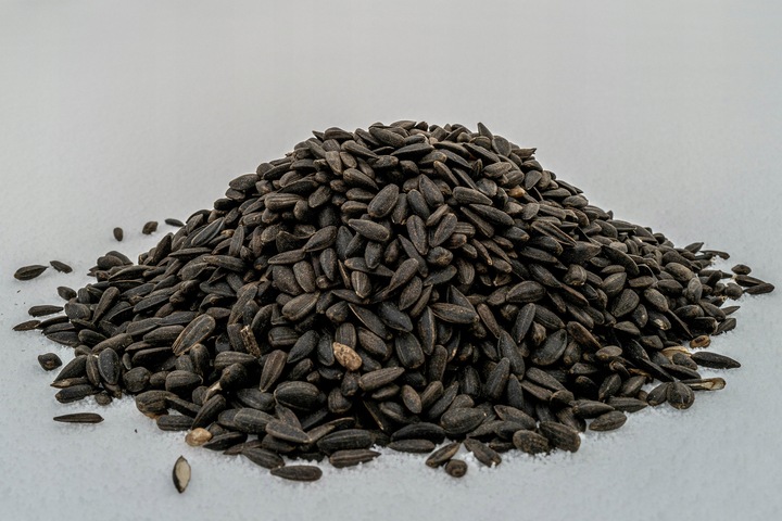 CZARNY SŁONECZNIK ZIARNO POKARM DLA PTAKÓW 5KG ZDROWY I POŻYWNY NA ZIMĘ