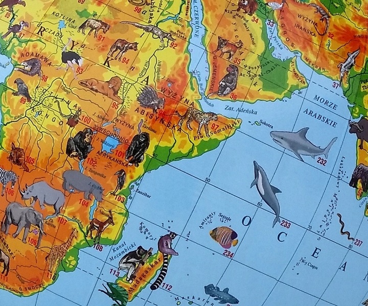 Globus ZOOLOGICZNY 220mm +książka karton APLIKACJA Produkt Polski zwierzęta