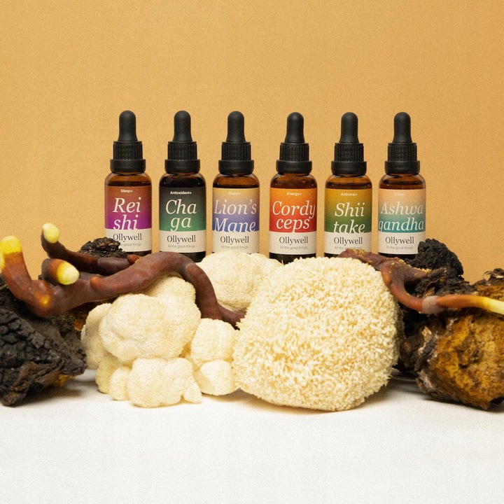 Polska Soplówka jeżowata Ollywell Lion's Mane Krople Moc Ekstrakt Adaptogen