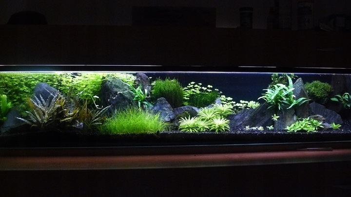 Czarny Piasek Żwirek do Akwarium Naturalny Doskonały dla Roślin 24kg 2-3mm