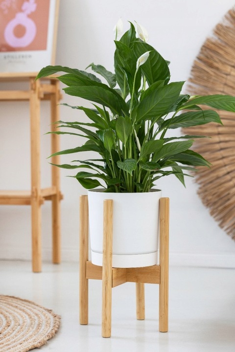 Kwietnik stojący REGULOWANY 25-36 drewniany stojak na kwiaty rośliny NEST