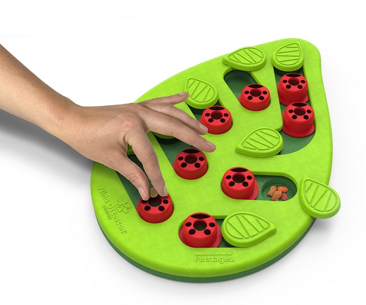 Nina Ottosson Cat Buggin' Out Puzzle & Play