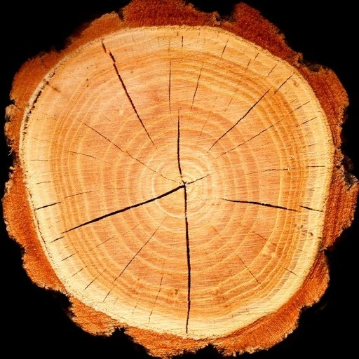 Perfumy damskie YODEYMA Boreal 50 ML