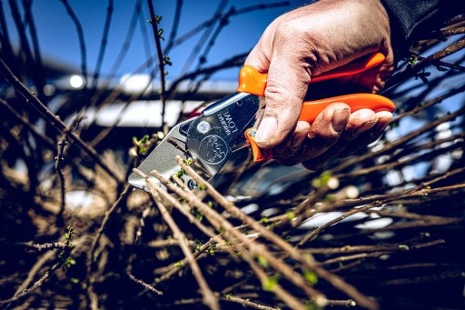 ZESTAW SEKATOR RĘCZNY do CIĘCIA GRUBYCH GAŁĘZI LOWE 10 .107 + OSTRZAŁKA