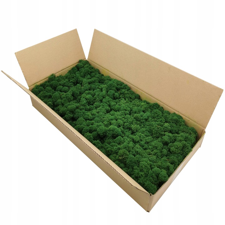 Mech chrobotek dekoracyjny 3 KOLORY