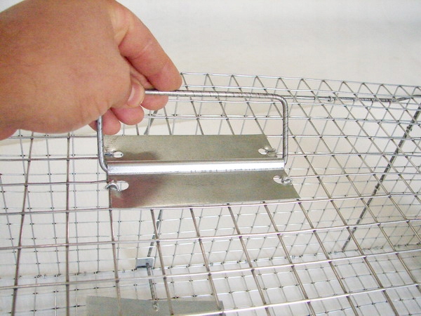 żywołapka pułapka na kuny, koty, lisy super szybka