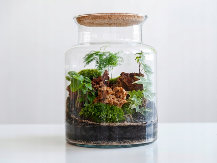 Mech CHROBOTEK RENIFEROWY fiński 500g ŚCIÓŁKA jasno zielony