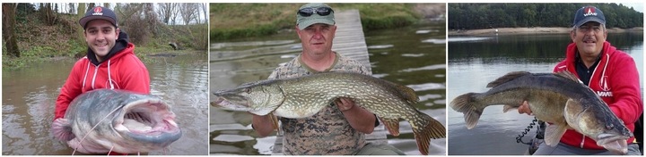 PROFESJONALNY PODBIERAK SPINNINGOWY BALZER SHIRASU