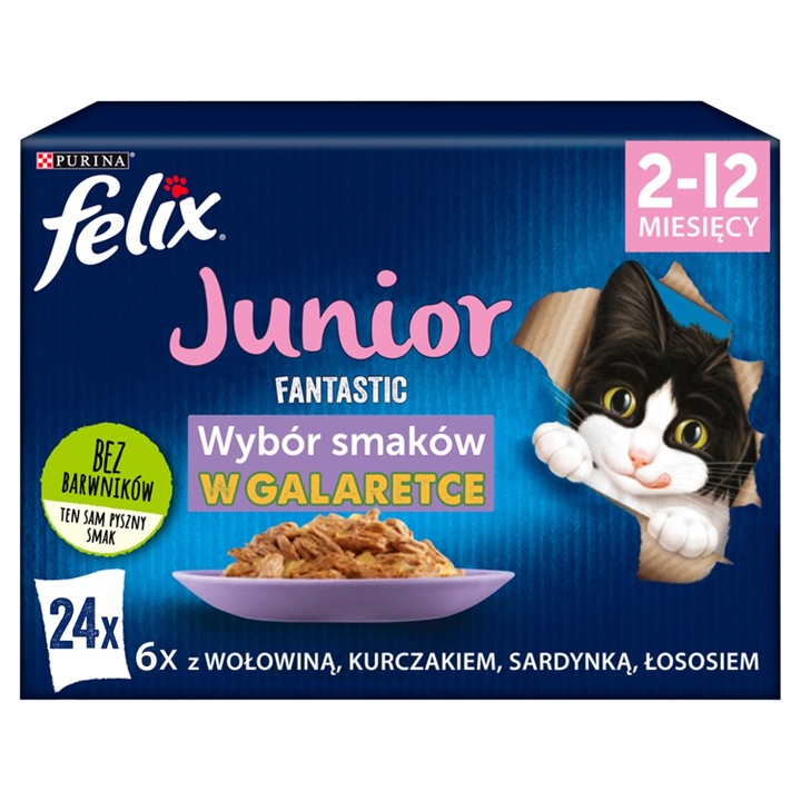 FELIX FANTASTIC Junior Mokra karma Saszetki Kurczak PACK 24x85g