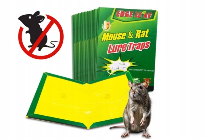 LEP NA MYSZY SZCZURY PUŁAPKA 40x ŁAPKA MYSZOŁAPKA SILNY MOCNY KLEJ