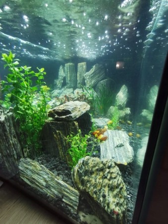 LAWA LAWA WULKANICZNA 2-8 mm 25 kg ŻWIREK AKWARIUM NA DNO