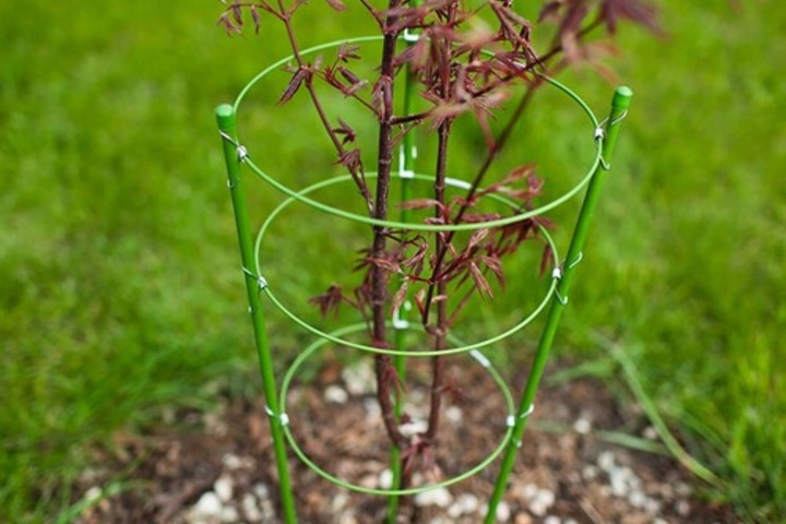 PODPORA PIERŚCIENIOWA DO ROŚLIN 75cm SZNUREK ZAPINKI DRUCIK ZESTAW