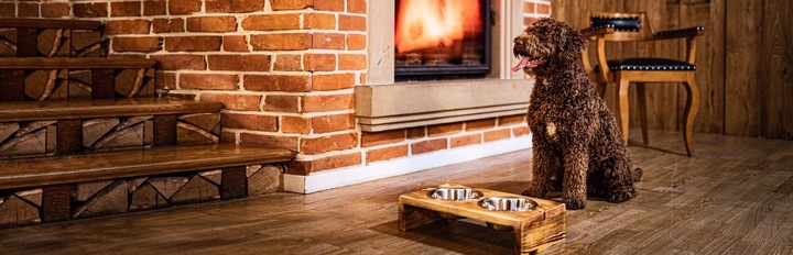 MISKI NA STOJAKU dla psa DUŻEGO STOJAK DREWNIANY bufet 2x 1,8 L + treserki