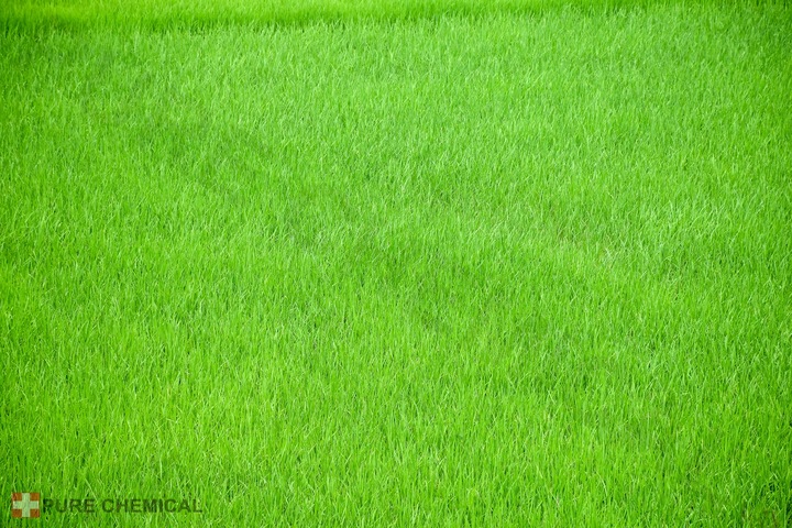 SIARCZAN ŻELAZA NAWÓZ DO TRAWY 25kg