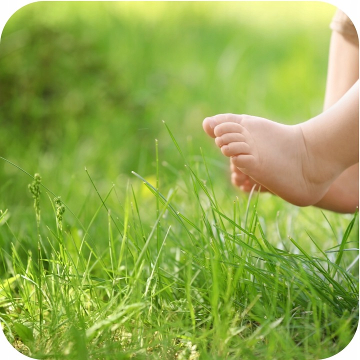 FLOROVIT MISTRZOWSKI TRAWNIK 25KG AZOT ŻELAZO POBUDZA TRAWNIK WIOSNĄ