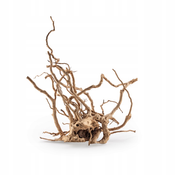 KORZEŃ DO AKWARIUM Red Moor Wood M 30cm OKAZY PREMIUM
