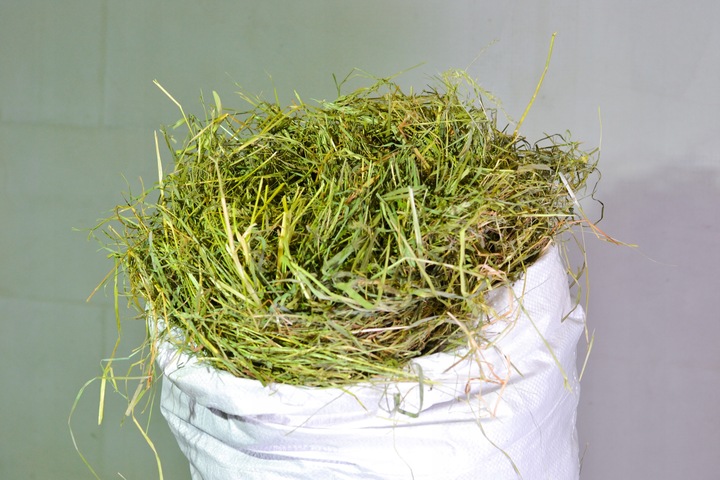 Siano , Sianko, 5kg dla gryzoni ,zwierząt domowych i hodowlanych