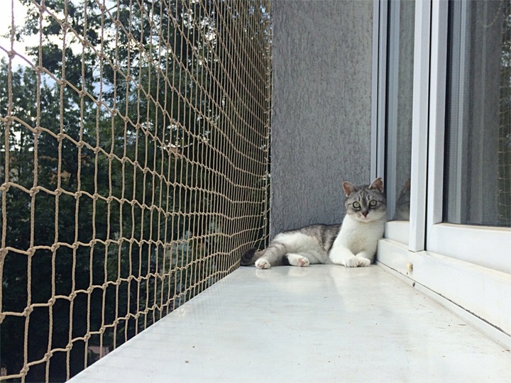 20x ZACZEP DO MONTAŻU SIATKA NA BALKON DLA KOTA NA PTAKI BEZ WIERCENIA