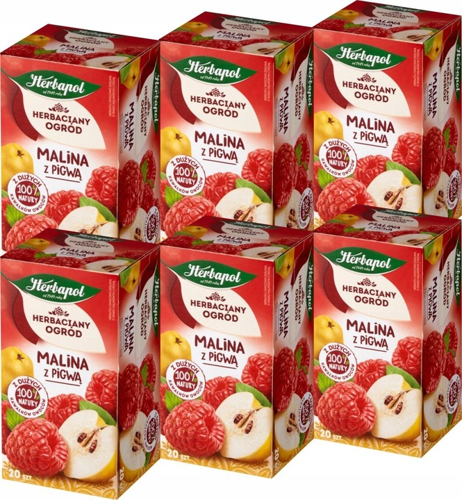 (x6) HERBAPOL Herbata Malina Pigwa 20tb