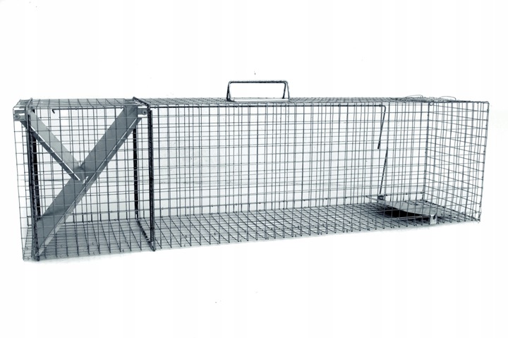 żywołapka pułapka lisy kuny wydry bobry koty skuteczna