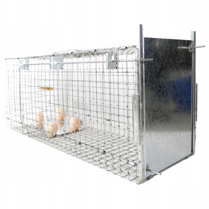 ŻYWOŁAPKA PUŁAPKA NA KUNY SZCZURY ŁASICE NORKI TCHÓRZE ŁASKI ŁAPKA