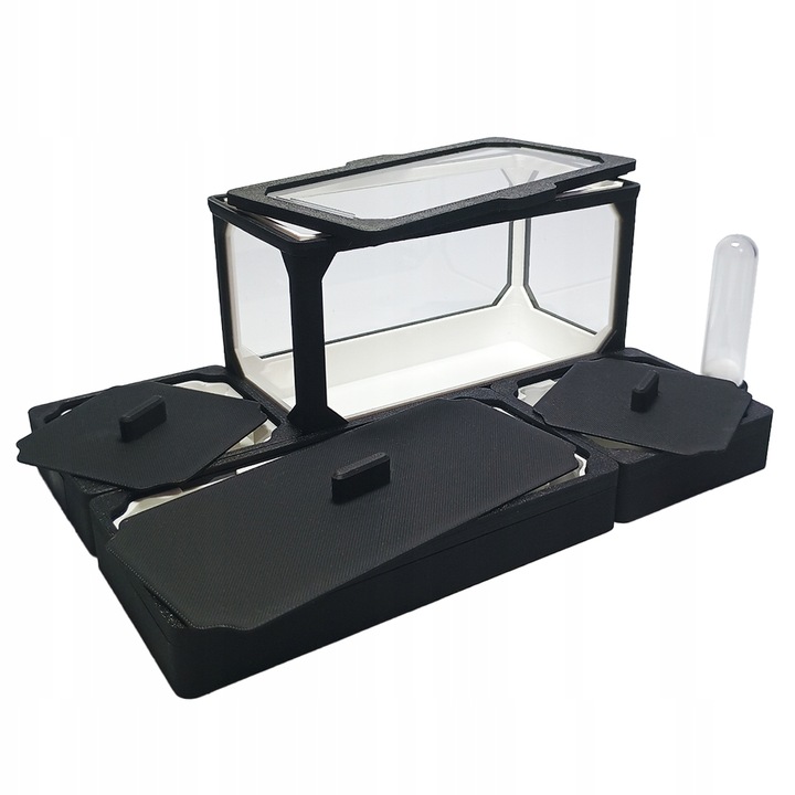 Formikarium AVERAGE L - Terrarium Dla Mrówek Modułowe 210x140